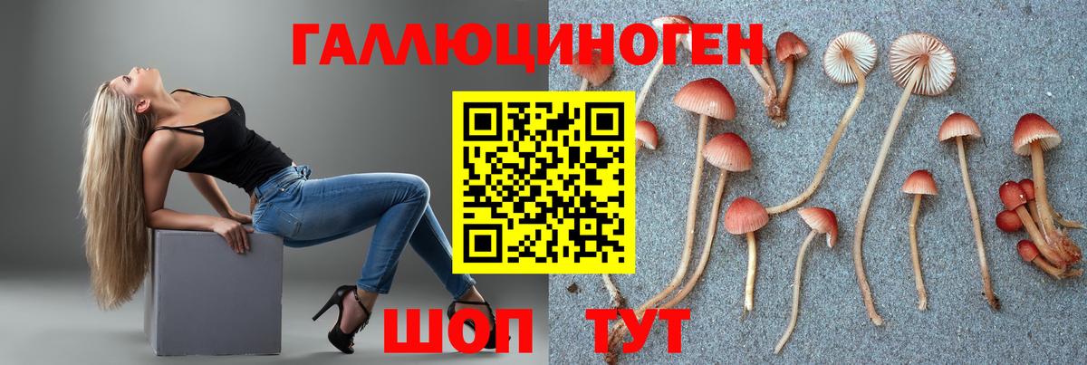 Галлюциногенные грибы Psilocybine cubensis  Галлюциногенные грибы Psilocybine cubensis  Севастополь  Вход с VPN 